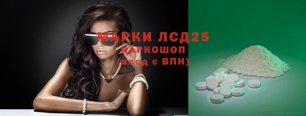 стафф Новый Уренгой