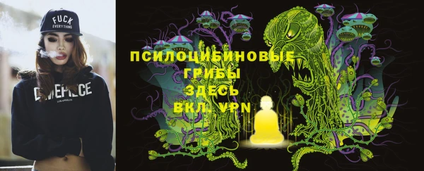 стафф Новый Уренгой