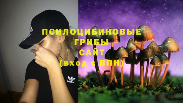 стафф Новый Уренгой
