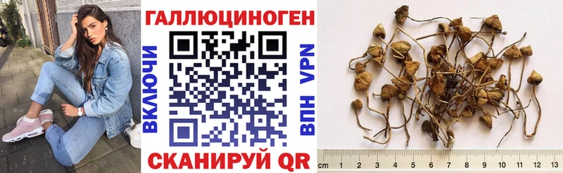 Галлюциногенные грибы ЛСД  Долинск 